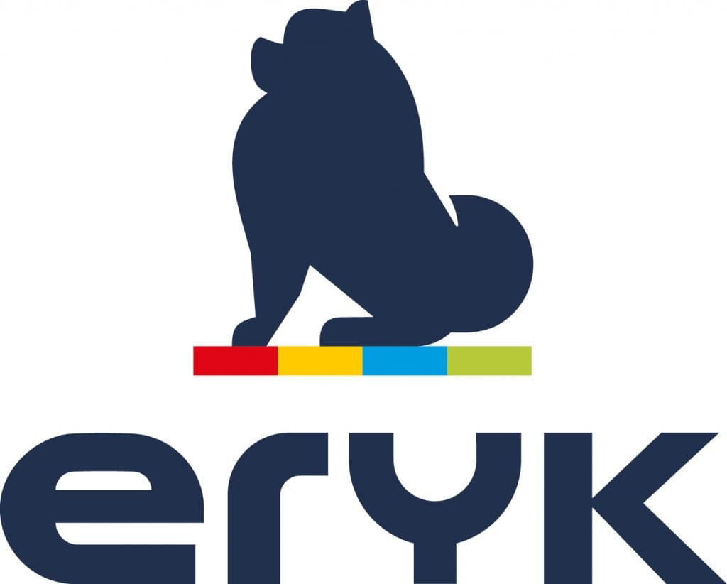Główny Partner – logo